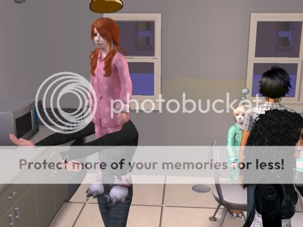snapshot_18996559_78ad4259.jpg