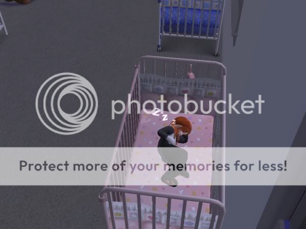 snapshot_18996559_98ad253e.jpg