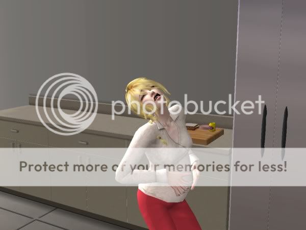 snapshot_18996559_f8a92492.jpg