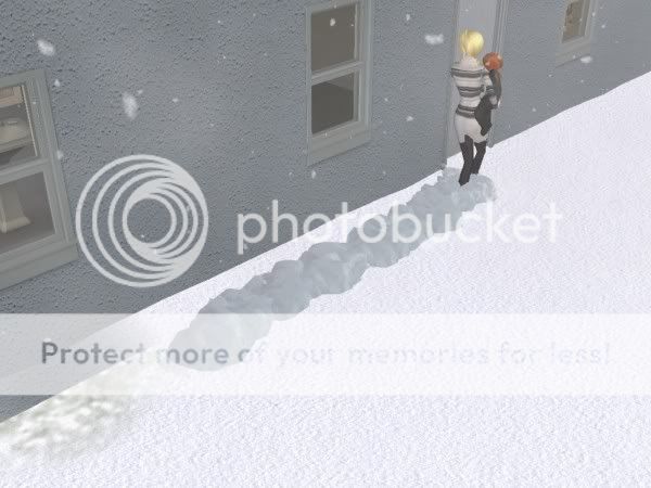 snapshot_18996559_f8ad3de2.jpg