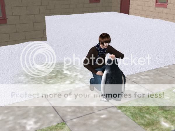 snapshot_589c0cfe_d8aa8955.jpg
