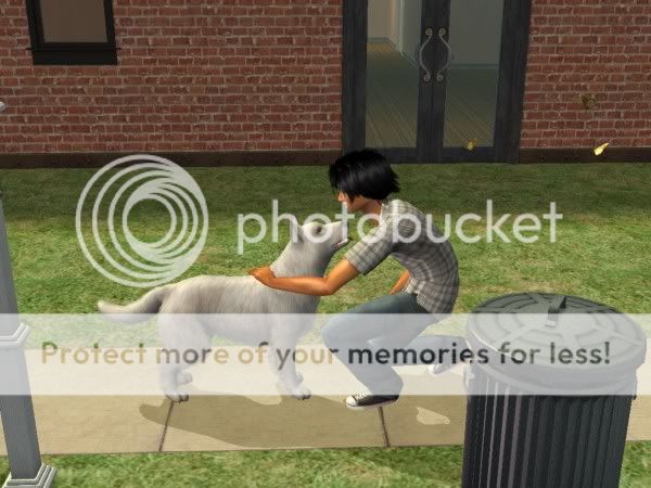 snapshot_d89d0f21_989d5065.jpg