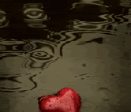 0z0s-hot-Love-sex-kiss-fuck-sensual.gif