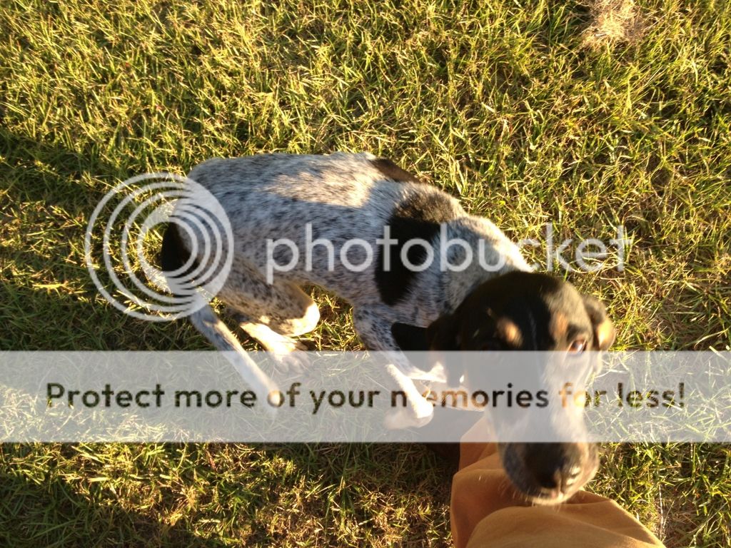 Posted Image