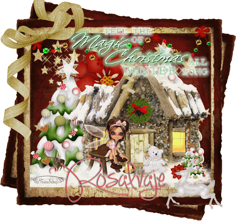  photo BASEUNICArosa_zps1fd2c753.gif
