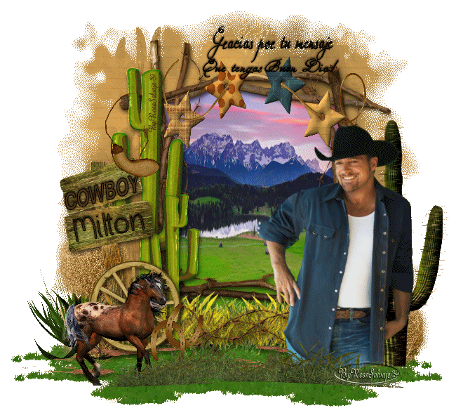  photo mil2_zps2022821f.gif