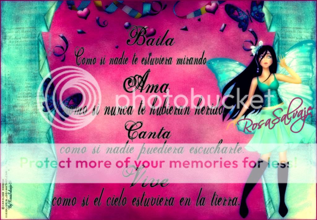  photo vive_zps5a7de03e.jpg