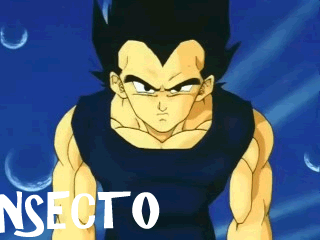 Dragon Ball Dragon Ball