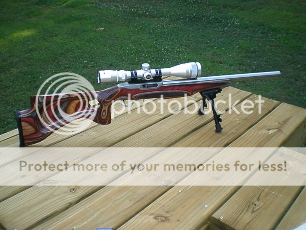 Bore Snake, Good or Bad Rimfire Central Firearm Forum