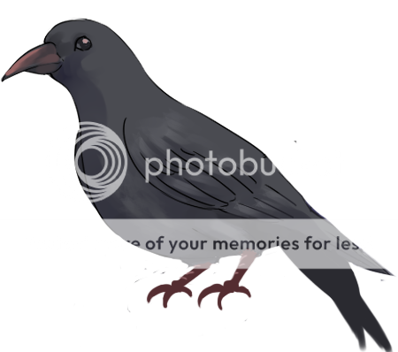 photo crow_zps716d24fe.png