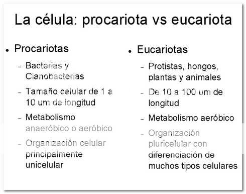... las diferencias entre las células procariotas y eucariotas | Biologia
