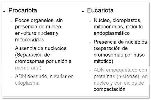 ... las diferencias entre las células procariotas y eucariotas | Biologia
