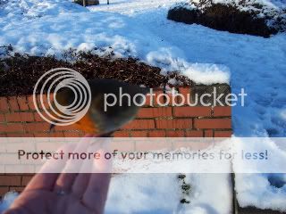 102_1221.jpg?t=1272374230